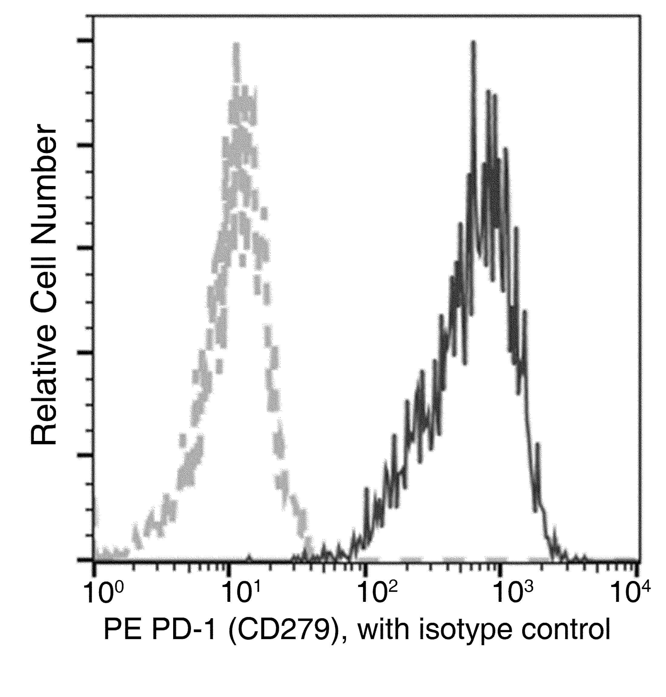 PDCD1 / CD279 / PD-1 Antibody (clone 140, PE)