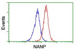 NANP Antibody (clone OTI4D11)