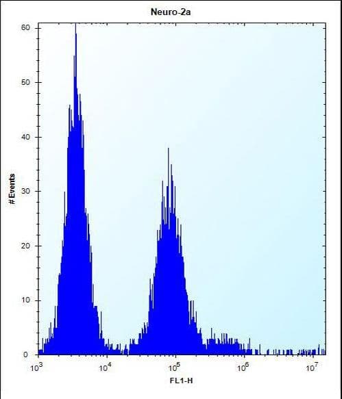 Polyclonal Rabbit anti-Human OR9Q1 Antibody (aa279-308, IHC, WB)