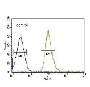 DUSP2 Antibody (aa262-290)