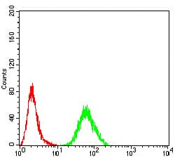 RALA / RAL Antibody (clone 4G8B11)