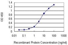 IHC-plus™ CDS1 Antibody (clone 2D10)