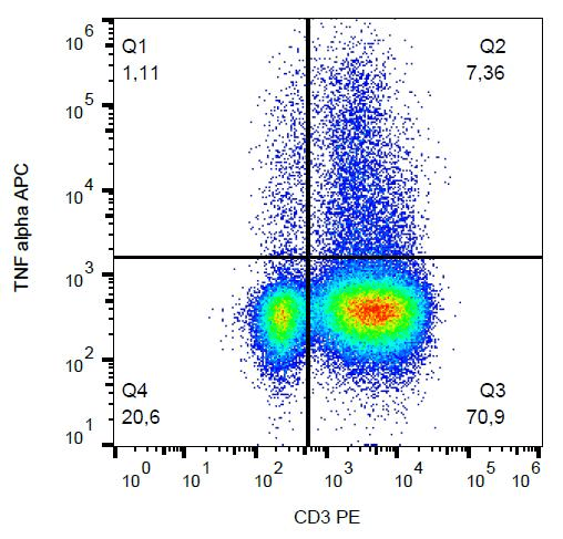 TNF Alpha Antibody (clone MAb11, APC)