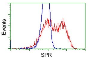 SPR Antibody (clone OTI1F4)