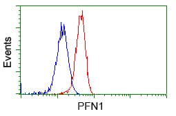Monoclonal Mouse anti-Human PFN1 / Profilin 1 Antibody (clone OTI1D5, IHC, IF, WB)