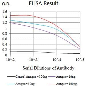 CHRM3 / M3 Antibody (clone 4A6B7)