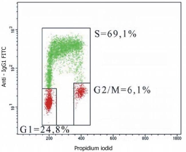 BrdU Antibody (clone MoBU-1)