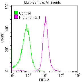 HIST1H3A Antibody