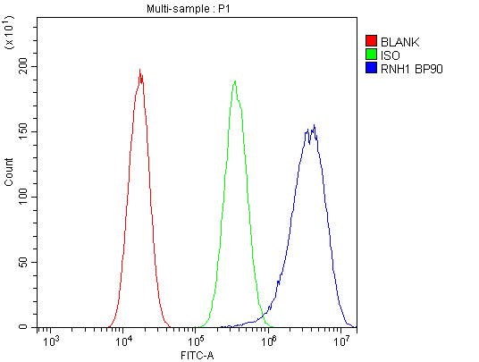 RNH1 Antibody (aa2-37)
