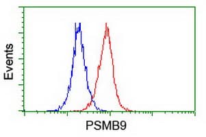 PSMB9 Antibody (aa21-219, clone OTI1F10, Carrier-free)
