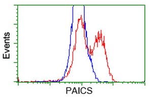 IHC-plus™ PAICS / ADE2 Antibody (clone 1B4)