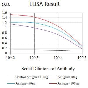 FCRL5 / CD307 Antibody (clone 2A10H7)