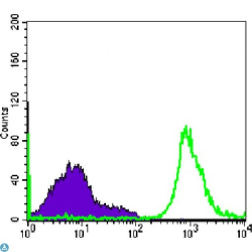 Monoclonal Mouse anti-Human CD19 Antibody (IF)