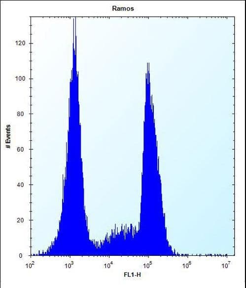 Polyclonal Rabbit anti-Human OR10G9 Antibody (aa211-239, WB)