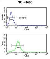 PPAP2C Antibody (aa227-254)