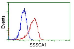 SSSCA1 / p27 Antibody (clone OTI2F5)