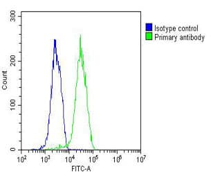 PLIN3 / M6PRBP1 / TIP47 Antibody (clone 1651CT157.85.94)