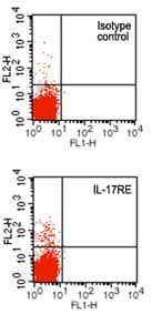 IL17RE Antibody (clone 46N7E3)