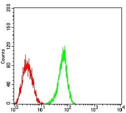 S1PR1 / EDG1 / S1P1 Antibody (clone 1E3H5)