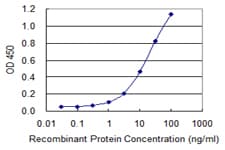IHC-plus™ Monoclonal Mouse anti-Human US01 / p115 Antibody (clone 3F4, IHC, WB)