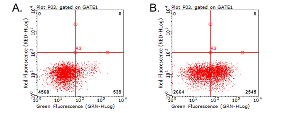 HAVCR2 / TIM-3 Antibody (clone OTI13A8)