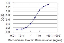 SOX12 Antibody (clone 2C4)