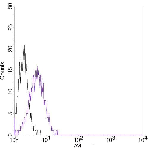 AVI Tag Antibody (clone 1D11D10)