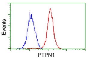 PTP1B Antibody (clone OTI1B4)