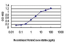 DDIT3 / CHOP Antibody (clone 2G3)