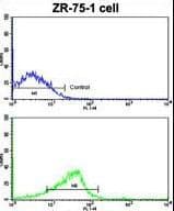 NCS1 / Neuronal Calcium Sensor Antibody (aa118-144)