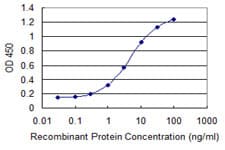 CDKN2D / p19 INK4d Antibody (clone 2E10)