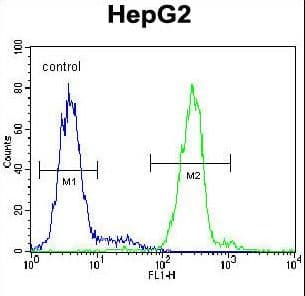 IHC-plus™ Polyclonal Rabbit anti-Human VDAC1 / PORIN Antibody (aa1-30, IHC, WB)