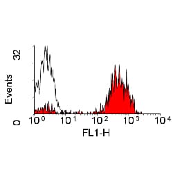MHC Class II Antibody (clone YKIX334.2, FITC)
