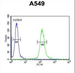 LOH12CR1 Antibody (aa167-196)