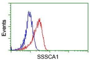 SSSCA1 / p27 Antibody (clone OTI2F5)