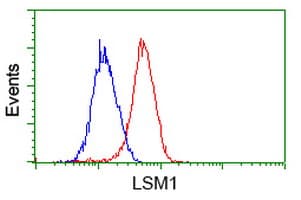 LSM1 Antibody (aa1-133, clone OTI9D7, Carrier-free)