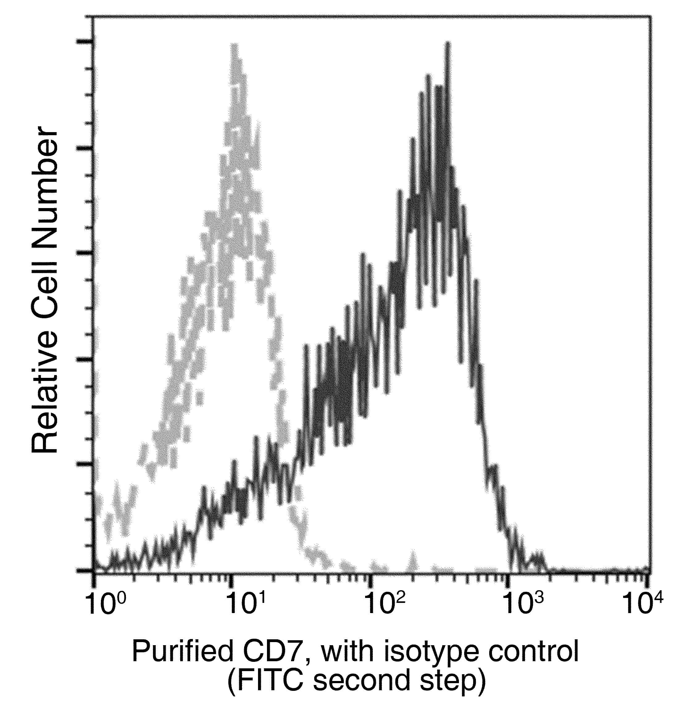 Monoclonal Mouse anti-Human CD7 Antibody (clone 20, Preservative Free)