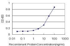 IHC-plus™ AML1 / RUNX1 Antibody (clone 2C10)