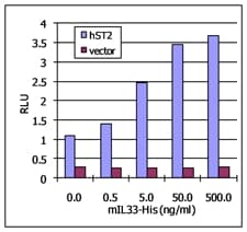 Mouse IL-33 Protein (Recombinant His)