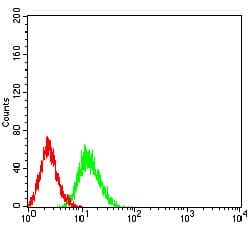 Monoclonal Mouse anti-Human PRKAA2 / AMPK Alpha 2 Antibody (clone 8E11H5, IHC, WB)