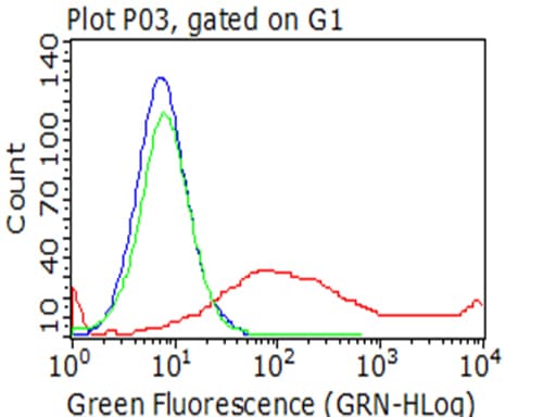 Monoclonal Mouse anti-Human HAVCR2 / TIM-3 Antibody (clone OTI10B1, WB)