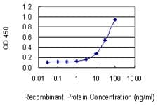 POU2F1 / OCT1 Antibody (clone 1E12)