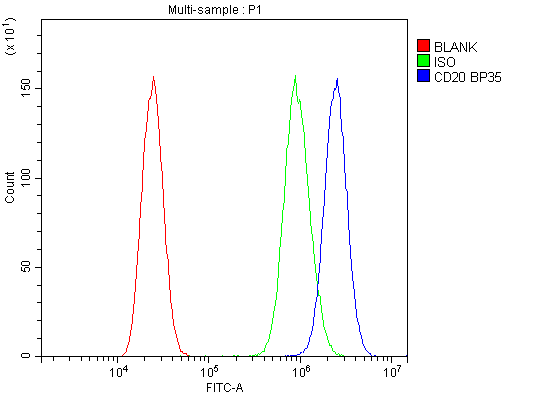 Polyclonal Rabbit anti-Human CD20 Antibody (aa1-261, IHC, WB)