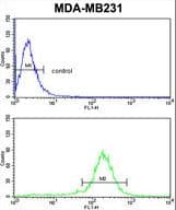 PEA15 / PEA-15 Antibody (aa86-115)