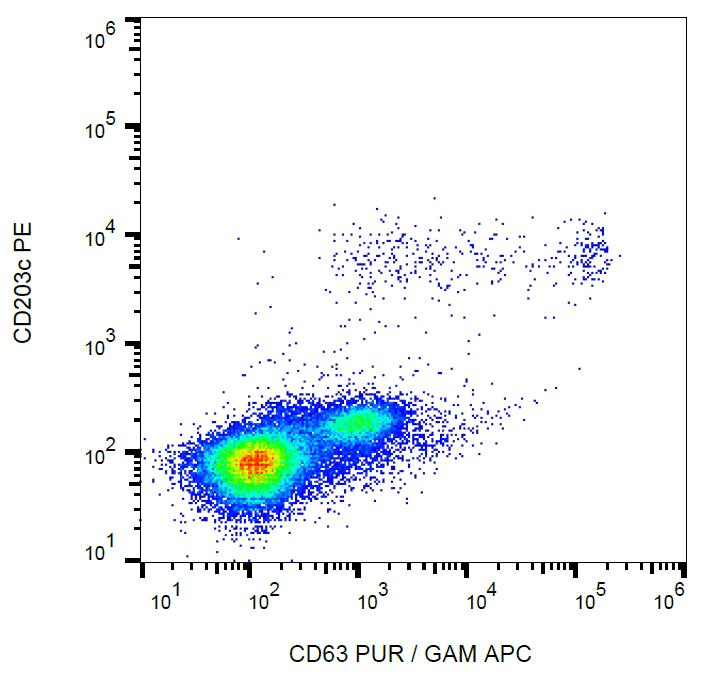 PathPlus™ CD63 Antibody (clone MEM-259)