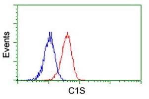 IHC-plus™ Monoclonal Mouse anti-Human Complement C1s Antibody (clone 4D9, IHC, WB)