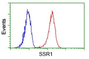 SSR1 Antibody (clone OTI 4C9)