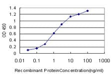 AF5Q31 / AFF4 Antibody (clone 2E12)