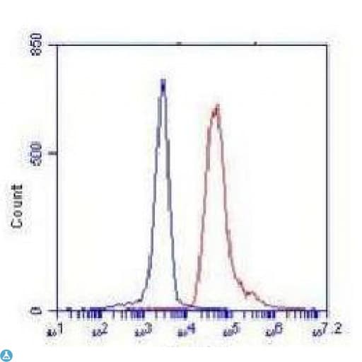 CRTC1 / MECT1 / TORC1 Antibody