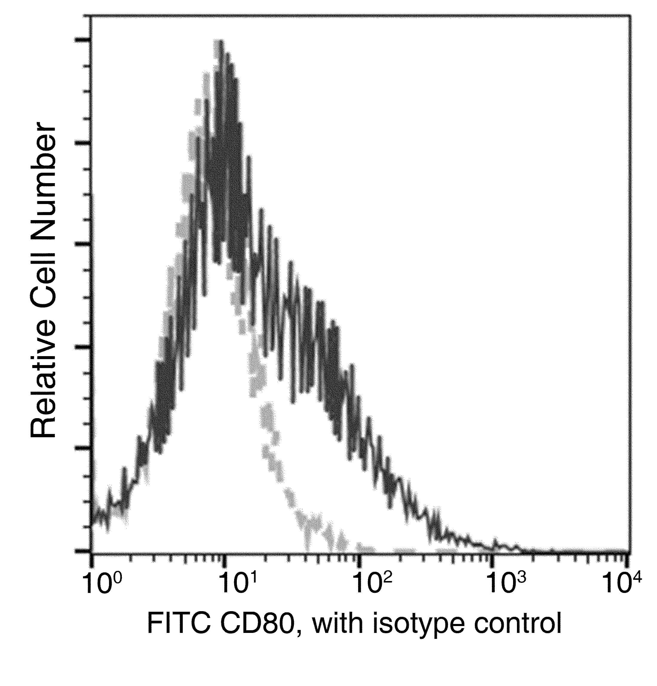 CD80 Antibody (clone 014, FITC)